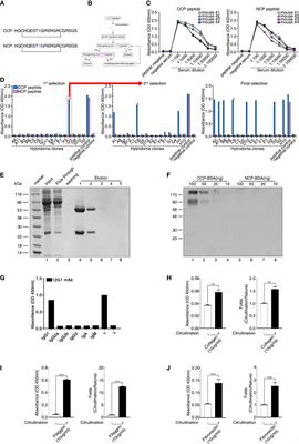 Pathogenic Role of Circulating Citrullinated Antigens and Anti-Cyclic Monoclonal Citrullinated Peptide Antibodies in Rheumatoid Arthritis